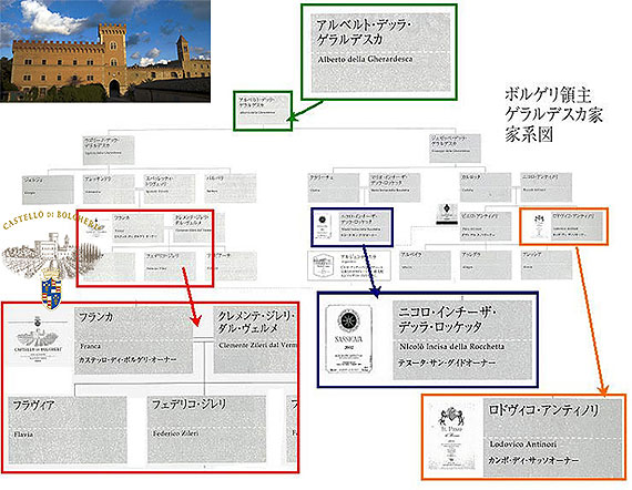 トスカニー イタリアワイン専門店 / カステッロ ディ ボルゲリ